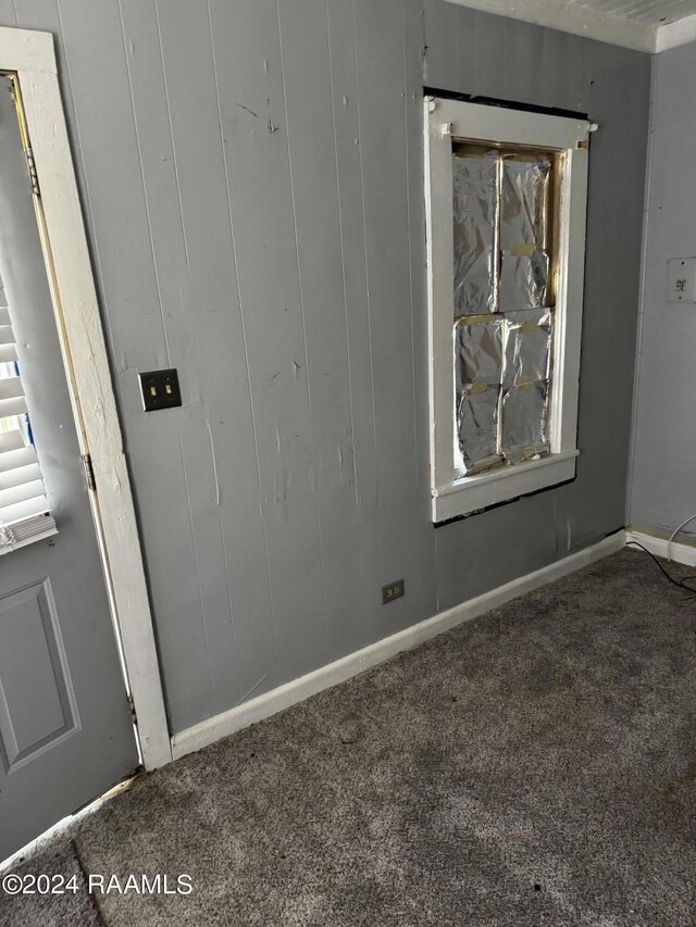 interior space with carpet flooring and wood walls