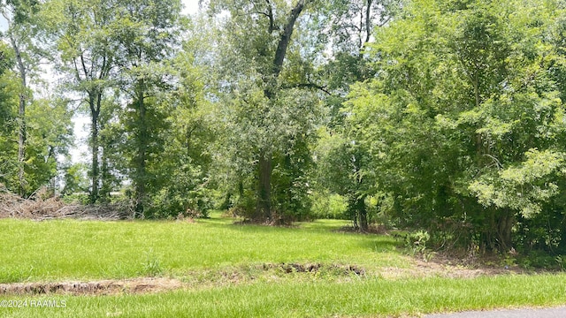 TBD Meghan Dr, Opelousas, LA 70570
