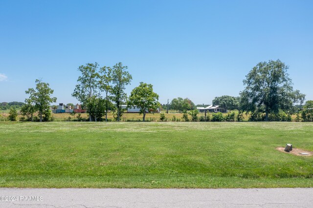 210 Octavia Dr, Scott, LA 70583 - photo 5
