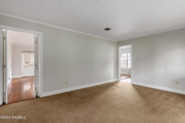 spare room featuring carpet and ornamental molding