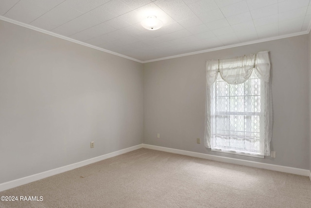 carpeted spare room featuring ornamental molding