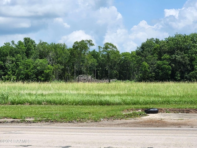 700BLK W Summers Dr, Abbeville, LA 70510 - photo 6