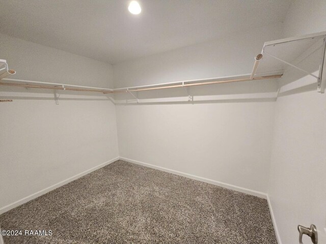 walk in closet featuring carpet