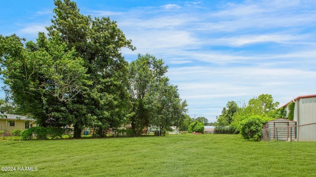 view of yard