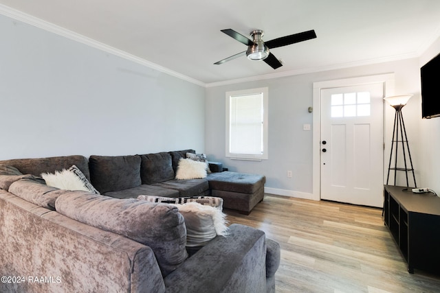 living room featuring crown molding, ceiling fan, and light hardwood / wood-style flooring