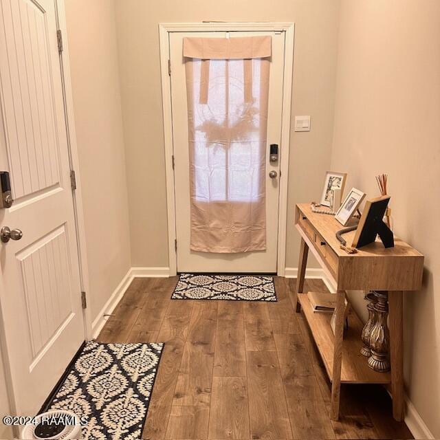 entryway featuring wood-type flooring