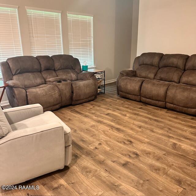 living room with hardwood / wood-style flooring