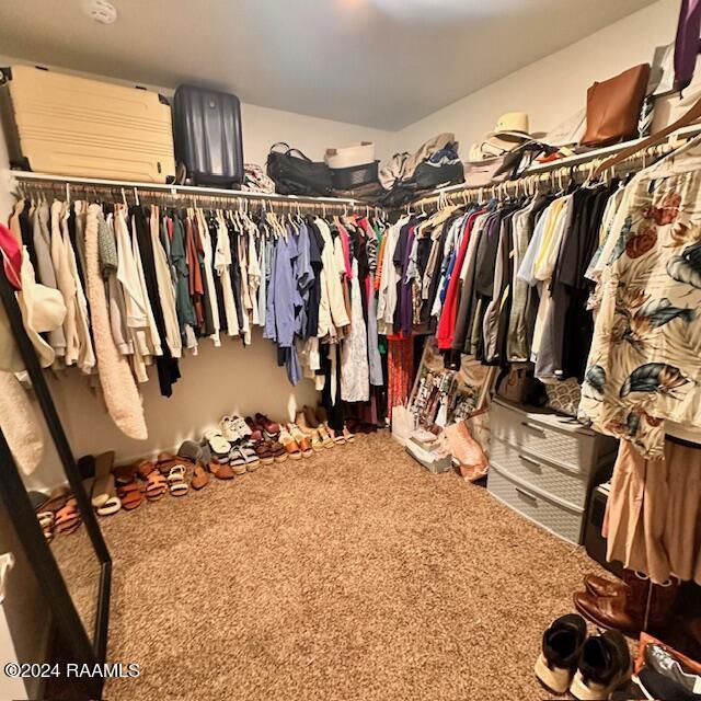 walk in closet featuring carpet flooring