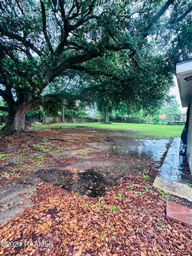 view of yard