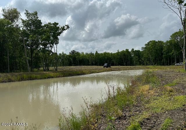 1177 Kidder-Robin Rd, Arnaudville, LA 70512 - photo 3