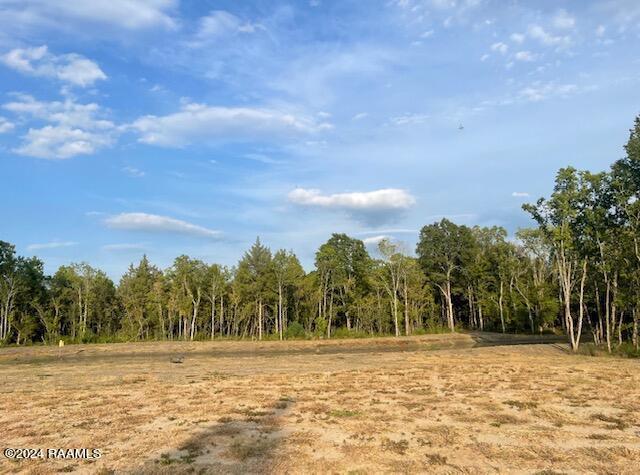 1177 Kidder-Robin Rd, Arnaudville, LA 70512 - photo 12