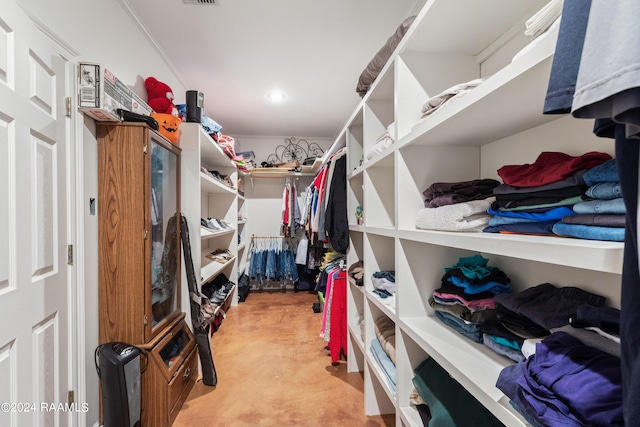 view of walk in closet