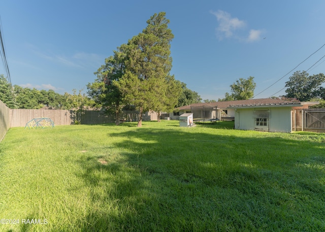 view of yard with a storage unit