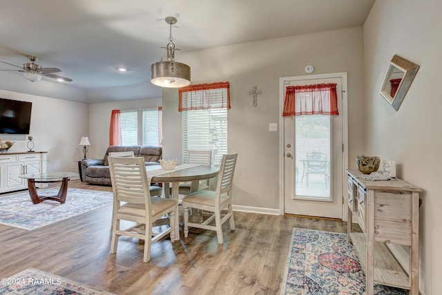 dining area with ceiling fan and hardwood / wood-style floors