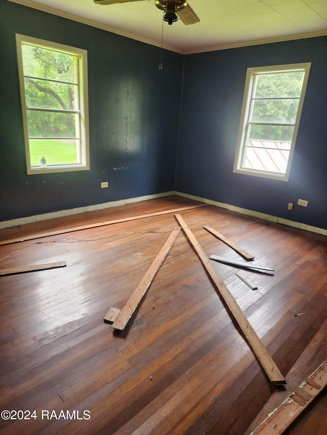 empty room with a wealth of natural light, ceiling fan, and dark hardwood / wood-style floors