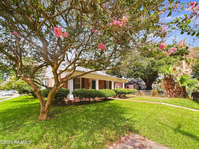 ranch-style home with a front lawn