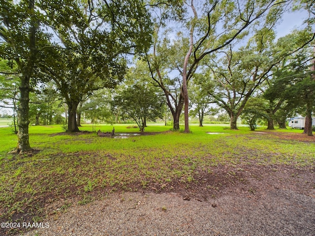 Listing photo 3 for 10826 Sidney Gautreaux Rd, Abbeville LA 70510