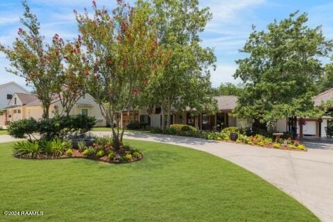 view of property hidden behind natural elements with a front lawn