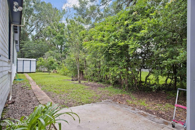 view of yard featuring a storage shed and a patio