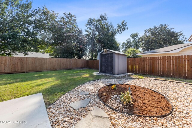 view of yard featuring a patio and a storage unit