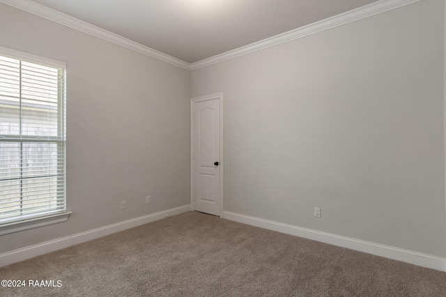 carpeted empty room featuring crown molding and a healthy amount of sunlight