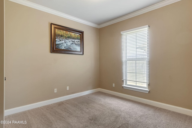 carpeted empty room featuring crown molding