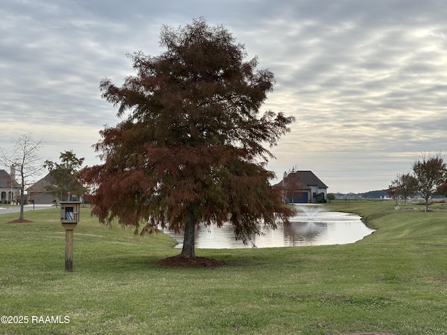 view of community with a water view and a yard