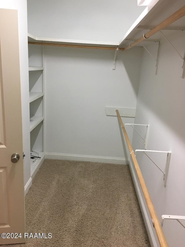 spacious closet with carpet flooring