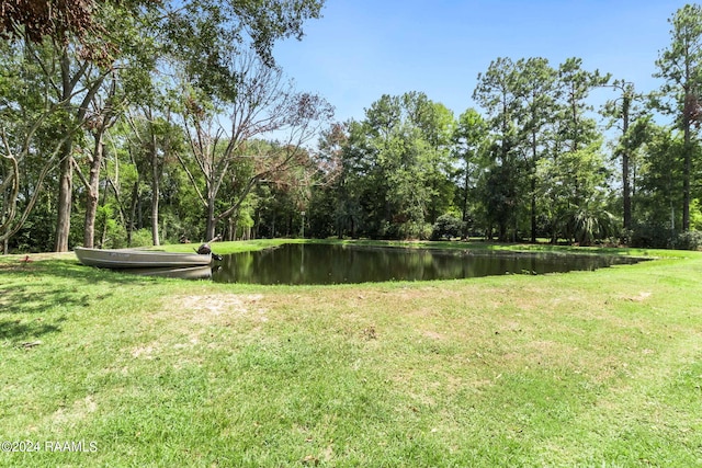 view of yard with a water view