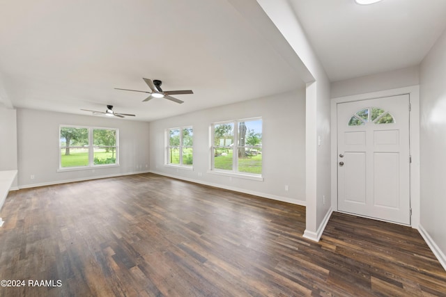 foyer entrance with dark hardwood / wood-style flooring