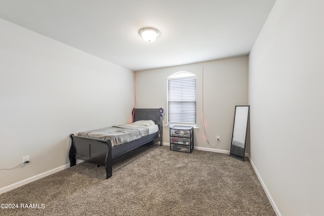 bedroom with carpet flooring