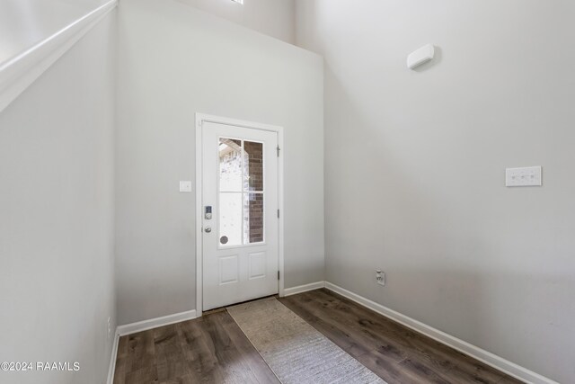 foyer entrance with wood-type flooring