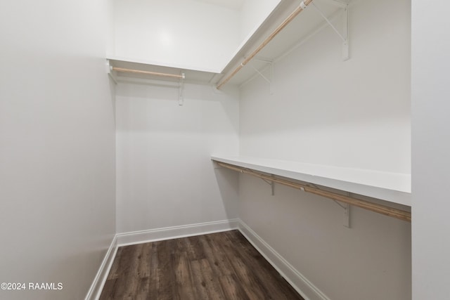 spacious closet featuring dark hardwood / wood-style floors