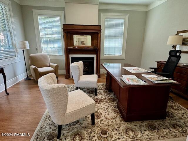 office space with crown molding and hardwood / wood-style flooring