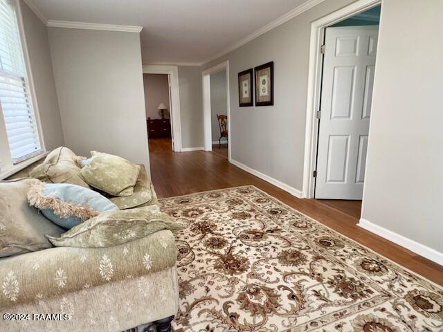 living room with crown molding and wood-type flooring