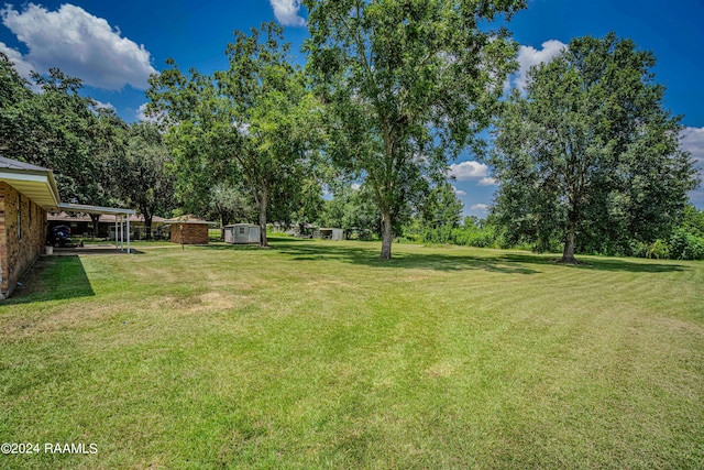 view of yard with a carport and a shed