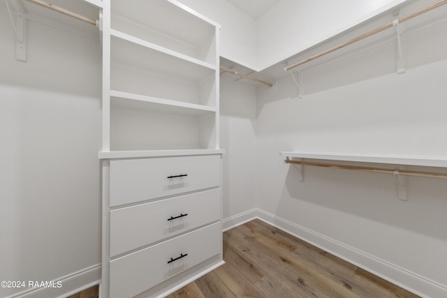 spacious closet featuring wood finished floors