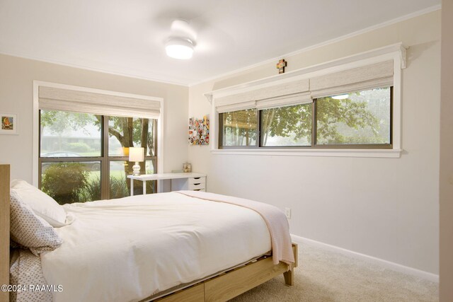 bedroom with multiple windows, carpet flooring, and ornamental molding