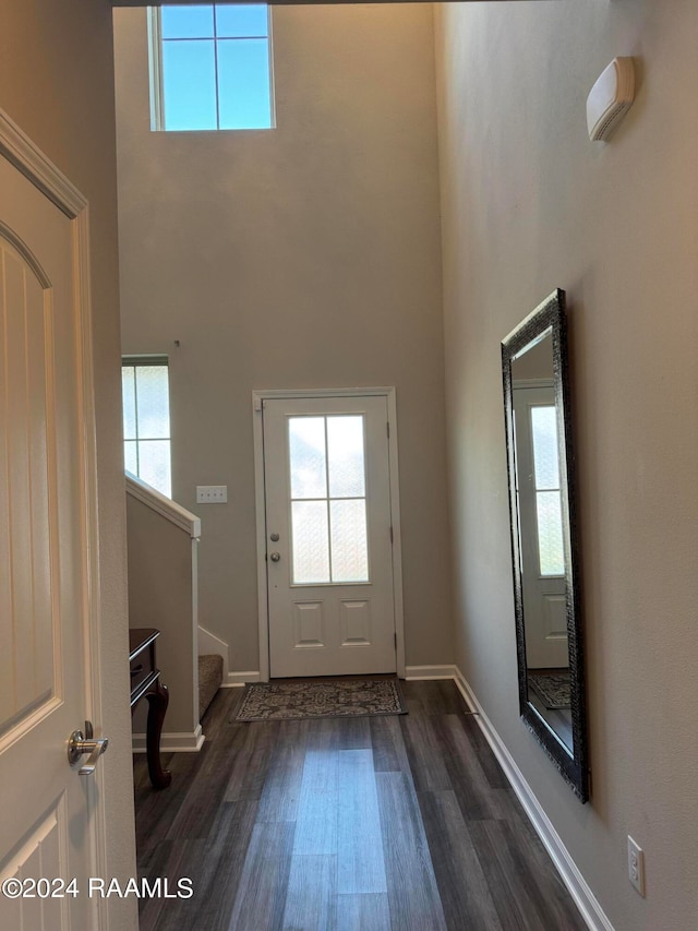 entryway featuring a high ceiling, a wealth of natural light, and dark hardwood / wood-style flooring