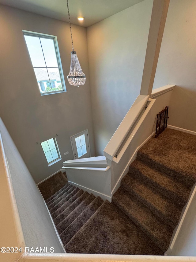 stairs with carpet floors and a high ceiling