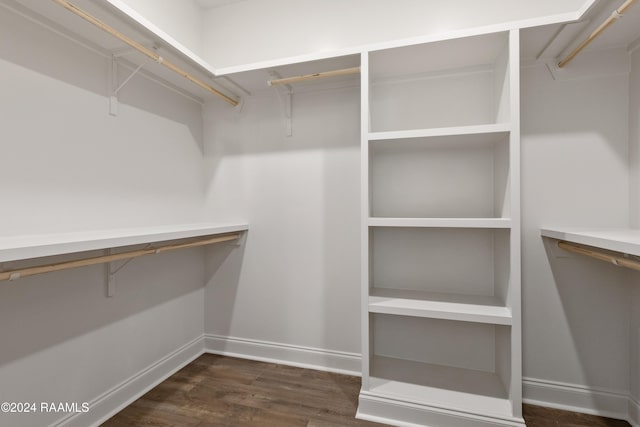 spacious closet with dark wood-type flooring