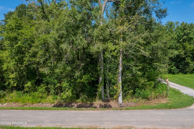 TBD N Three Mile Ave, Port Barre, LA 70577