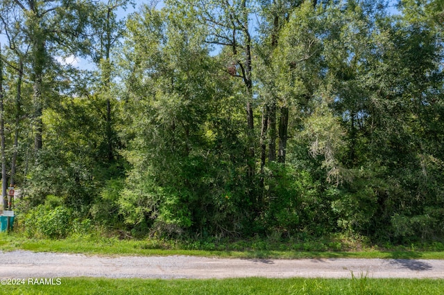 TBD N Three Mile Ave, Port Barre, LA 70577