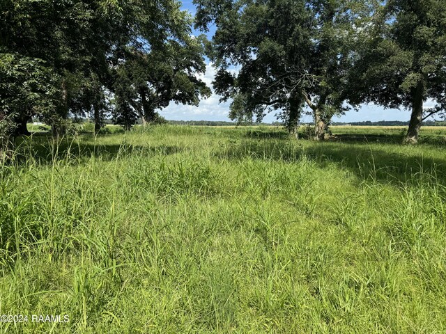 10820 Sidney Gautreaux Rd, Abbeville, LA 70510 - photo 6