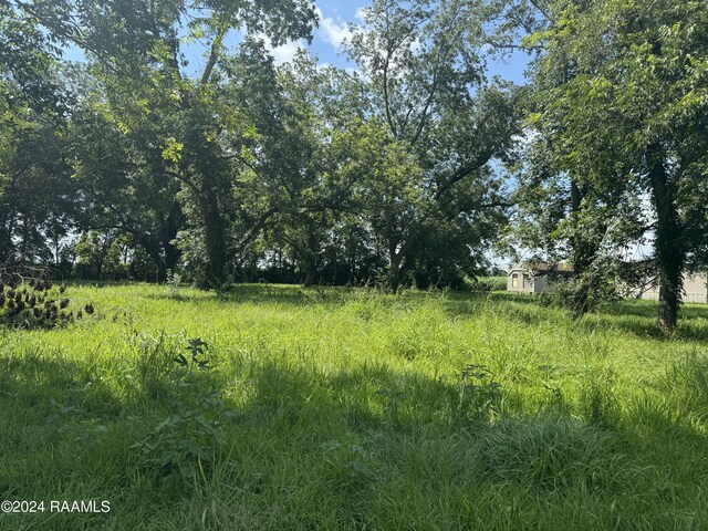10820 Sidney Gautreaux Rd, Abbeville, LA 70510 - photo 7