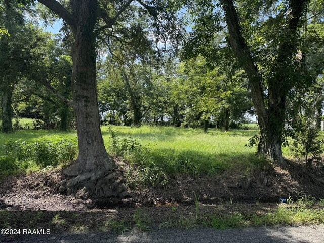 10820 Sidney Gautreaux Rd, Abbeville, LA 70510 - photo 9