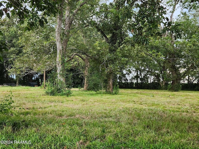 Listing photo 2 for 10820 Sidney Gautreaux Rd, Abbeville LA 70510