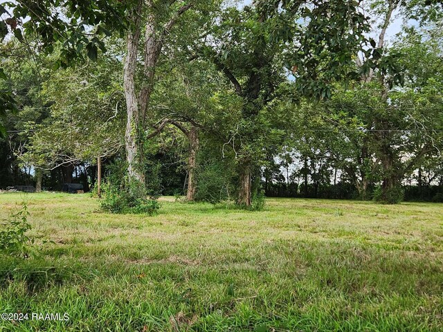 10820 Sidney Gautreaux Rd, Abbeville, LA 70510 - photo 2