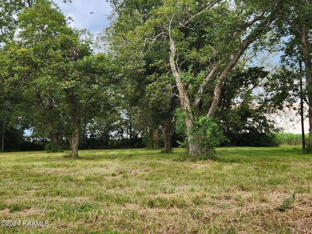 10820 Sidney Gautreaux Rd, Abbeville, LA 70510 - photo 4