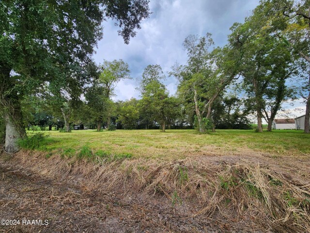 10820 Sidney Gautreaux Rd, Abbeville, LA 70510 - photo 3